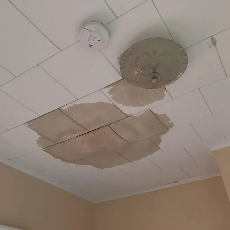 Ceiling Water Damage Repair in Eagan, MN